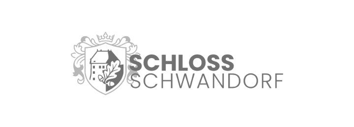 Logo SCHLOSS SCHWANDORF – Corporate Design von medienwald.de